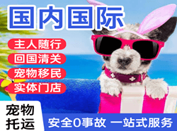 珠海金湾机场物流国际宠物托运 【国